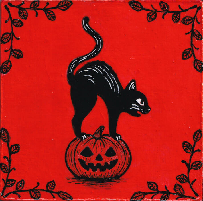 Scaredy Cat